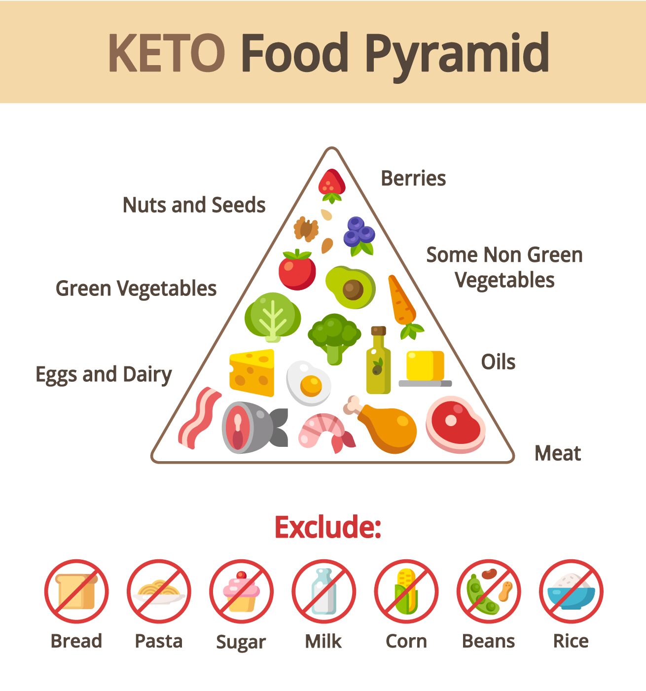 Exploring the Benefits of Ketogenic Nutrition for Brain Health